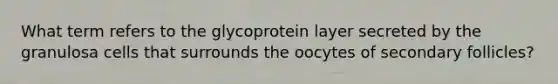 What term refers to the glycoprotein layer secreted by the granulosa cells that surrounds the oocytes of secondary follicles?