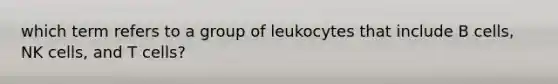 which term refers to a group of leukocytes that include B cells, NK cells, and T cells?