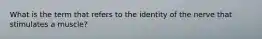 What is the term that refers to the identity of the nerve that stimulates a muscle?