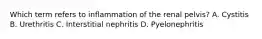 Which term refers to inflammation of the renal pelvis? A. Cystitis B. Urethritis C. Interstitial nephritis D. Pyelonephritis