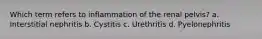 Which term refers to inflammation of the renal pelvis? a. Interstitial nephritis b. Cystitis c. Urethritis d. Pyelonephritis