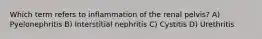 Which term refers to inflammation of the renal pelvis? A) Pyelonephritis B) Interstitial nephritis C) Cystitis D) Urethritis