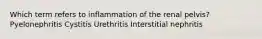 Which term refers to inflammation of the renal pelvis? Pyelonephritis Cystitis Urethritis Interstitial nephritis