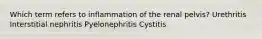 Which term refers to inflammation of the renal pelvis? Urethritis Interstitial nephritis Pyelonephritis Cystitis