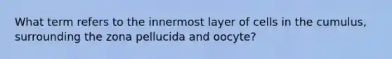 What term refers to the innermost layer of cells in the cumulus, surrounding the zona pellucida and oocyte?