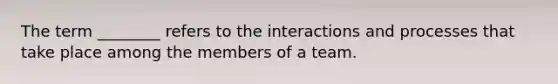 The term ________ refers to the interactions and processes that take place among the members of a team.