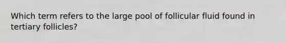 Which term refers to the large pool of follicular fluid found in tertiary follicles?