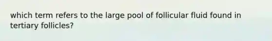 which term refers to the large pool of follicular fluid found in tertiary follicles?