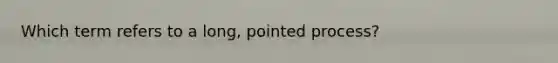 Which term refers to a long, pointed process?