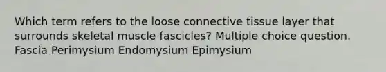 Which term refers to the loose connective tissue layer that surrounds skeletal muscle fascicles? Multiple choice question. Fascia Perimysium Endomysium Epimysium