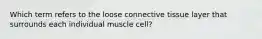 Which term refers to the loose connective tissue layer that surrounds each individual muscle cell?