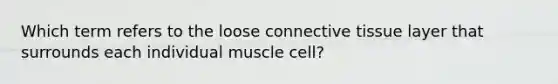 Which term refers to the loose connective tissue layer that surrounds each individual muscle cell?