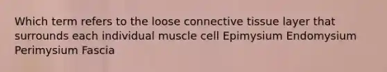 Which term refers to the loose connective tissue layer that surrounds each individual muscle cell Epimysium Endomysium Perimysium Fascia