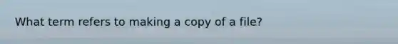 What term refers to making a copy of a file?