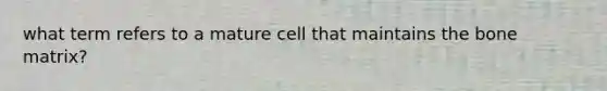 what term refers to a mature cell that maintains the bone matrix?