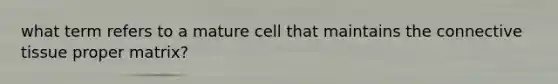 what term refers to a mature cell that maintains the connective tissue proper matrix?