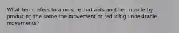 What term refers to a muscle that aids another muscle by producing the same the movement or reducing undesirable movements?