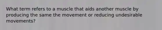 What term refers to a muscle that aids another muscle by producing the same the movement or reducing undesirable movements?