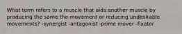 What term refers to a muscle that aids another muscle by producing the same the movement or reducing undesirable movements? -synergist -antagonist -prime mover -fixator