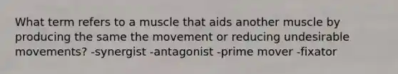 What term refers to a muscle that aids another muscle by producing the same the movement or reducing undesirable movements? -synergist -antagonist -prime mover -fixator