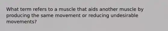 What term refers to a muscle that aids another muscle by producing the same movement or reducing undesirable movements?