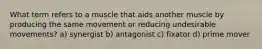 What term refers to a muscle that aids another muscle by producing the same movement or reducing undesirable movements? a) synergist b) antagonist c) fixator d) prime mover