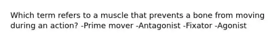 Which term refers to a muscle that prevents a bone from moving during an action? -Prime mover -Antagonist -Fixator -Agonist