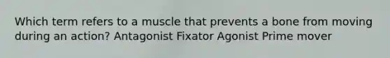 Which term refers to a muscle that prevents a bone from moving during an action? Antagonist Fixator Agonist Prime mover