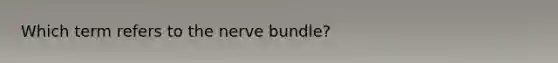 Which term refers to the nerve bundle?