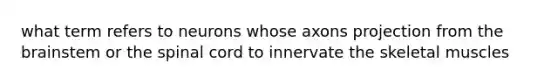 what term refers to neurons whose axons projection from the brainstem or the spinal cord to innervate the skeletal muscles