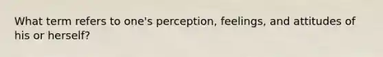 What term refers to one's perception, feelings, and attitudes of his or herself?