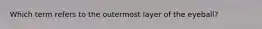 Which term refers to the outermost layer of the eyeball?