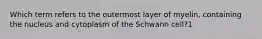 Which term refers to the outermost layer of myelin, containing the nucleus and cytoplasm of the Schwann cell?1