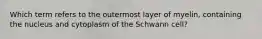 Which term refers to the outermost layer of myelin, containing the nucleus and cytoplasm of the Schwann cell?