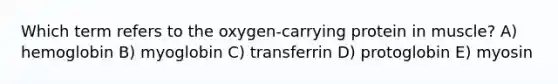 Which term refers to the oxygen-carrying protein in muscle? A) hemoglobin B) myoglobin C) transferrin D) protoglobin E) myosin