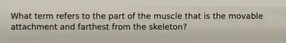 What term refers to the part of the muscle that is the movable attachment and farthest from the skeleton?