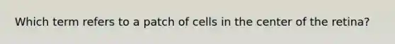 Which term refers to a patch of cells in the center of the retina?