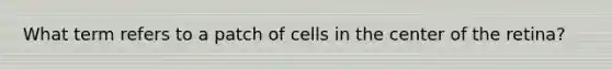 What term refers to a patch of cells in the center of the retina?