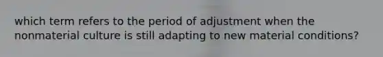 which term refers to the period of adjustment when the nonmaterial culture is still adapting to new material conditions?