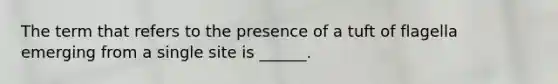 The term that refers to the presence of a tuft of flagella emerging from a single site is ______.