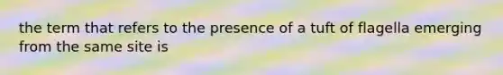 the term that refers to the presence of a tuft of flagella emerging from the same site is