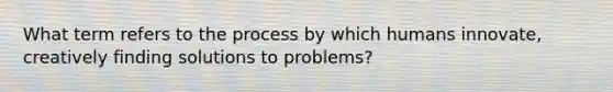 What term refers to the process by which humans innovate, creatively finding solutions to problems?