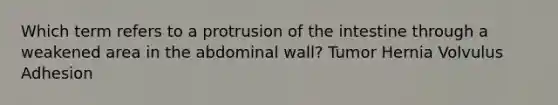 Which term refers to a protrusion of the intestine through a weakened area in the abdominal wall? Tumor Hernia Volvulus Adhesion