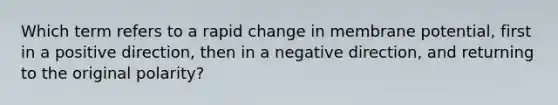 Which term refers to a rapid change in membrane potential, first in a positive direction, then in a negative direction, and returning to the original polarity?