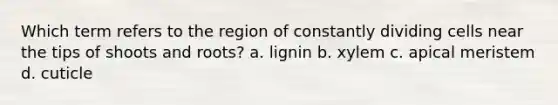 Which term refers to the region of constantly dividing cells near the tips of shoots and roots? a. lignin b. xylem c. apical meristem d. cuticle