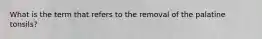 What is the term that refers to the removal of the palatine tonsils?