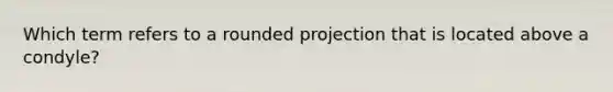Which term refers to a rounded projection that is located above a condyle?
