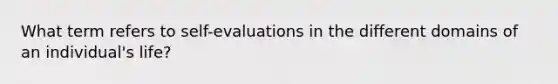 What term refers to self-evaluations in the different domains of an individual's life?