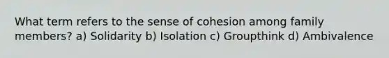 What term refers to the sense of cohesion among family members? a) Solidarity b) Isolation c) Groupthink d) Ambivalence