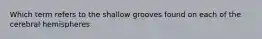 Which term refers to the shallow grooves found on each of the cerebral hemispheres